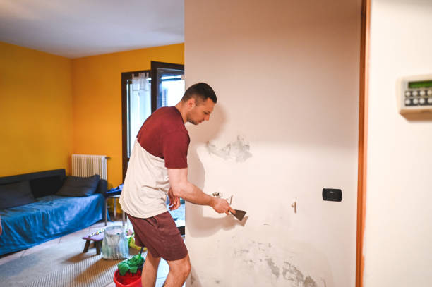 Professional Mold Remediation in Santee, CA